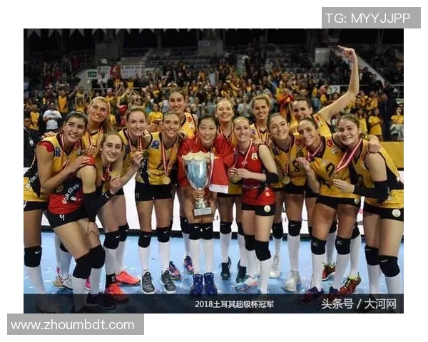 武汉排球队灵活性展现全方位实力大满贯点评分析